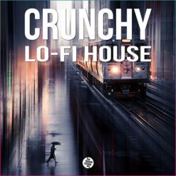 Crunchy Lo-Fi House
