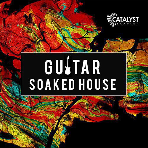 Catalyst Samples - Guitar Soaked House