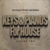 Keys & Pianos for House 2