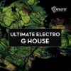 Catalyst Samples - Ultimate Electro G House
