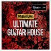 Catalyst Samples - Premium: Ultimate Guitar House