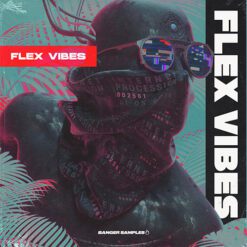 Banger Samples - Flex Vibes