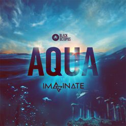 Black Octopus - Imaginate - Aqua