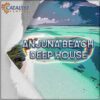 Catalyst Samples - Anjuna Beach Deep House
