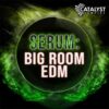 Catalyst Samples - Serum: Big Room EDM