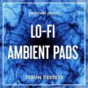 Patchmaker - LO-FI Ambient Pads for Serum